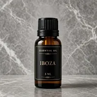 Tetradenia riparia Essential Oil 5 ml cosmetic ingredient Mylo Opt