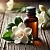 Gardenia Oil (Macerate) 10 ml cosmetic ingredient Mylo Opt