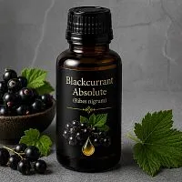 Blackcurrant Absolute 5 g cosmetic ingredient Mylo Opt