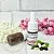 Mulberry CO2 Extract 5 g cosmetic ingredient Mylo Opt