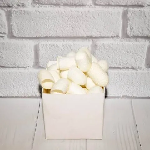 Silkworm cocoons Mylo Opt global supplier Silkworm cocoons cosmetic ingredient Mylo Opt