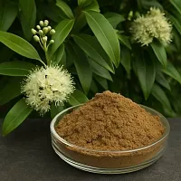 Lemon myrtle extract powder 100 g cosmetic ingredient Mylo Opt
