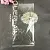 Transparent medium package from 500 pcs cosmetic ingredient Mylo Opt
