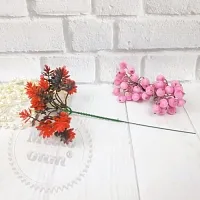Гілочка Едельвейса, червоний