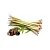 Palmarosa Essential Oil 5 ml, photos, reviews, use
