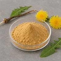 Dandelion Extrac Powder 1 kg cosmetic ingredient Mylo Opt