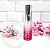 Spiral perfume bottle 16 ml cosmetic ingredient Mylo Opt
