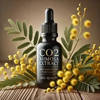 Mimosa CO2 Extract 1 kg cosmetic ingredient Mylo Opt