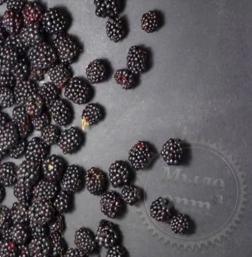 Blackberry Glycolic Extract 1 L Mylo Opt global supplier Blackberry Glycolic Extract 1 L cosmetic ingredient Mylo Opt