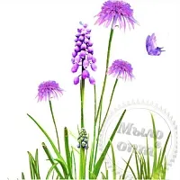 Alfalfa oil extract 1 L cosmetic ingredient Mylo Opt