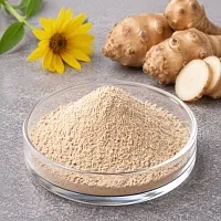 Jerusalem artichoke powder 100 g cosmetic ingredient Mylo Opt
