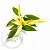 Ylang-ylang Fragrance Oil 1 L cosmetic ingredient Mylo Opt