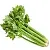 Celery Glycolic Extract 1 L cosmetic ingredient Mylo Opt
