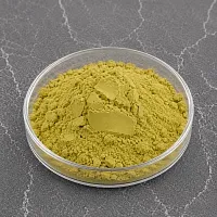Екстракт Артишоку сухий 10 гр