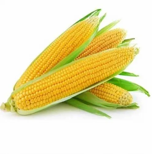 Food Flavoring Corn (Ukraine), 1 L, 992.00 UAH, rating ⭐⭐⭐⭐⭐ Milo Opt