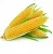 Food Flavoring Corn (Ukraine), 1 L, photos, reviews, use