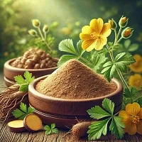 Экстракт Лапчатки 10% сухой, 1 кг описание и применение