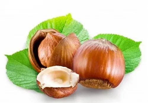 Hazelnut (hazelnut) oil, 1 L, 126.50 UAH, rating ⭐⭐⭐⭐⭐ Milo Opt