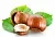 Hazelnut Oil 1 L, photos, reviews, use