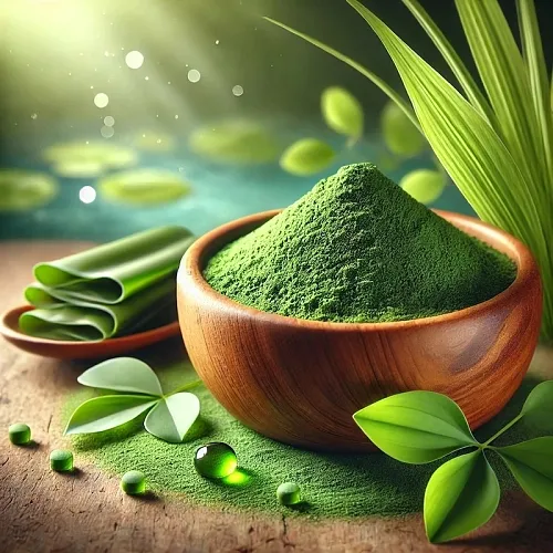 Chlorella Powder 1 kg cosmetic ingredient Mylo Opt