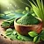 Chlorella Powder 1 kg cosmetic ingredient Mylo Opt