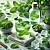 Mint Fragrance Oil 10 ml cosmetic ingredient Mylo Opt