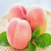 Juicy Peach Flavor, 1 L
