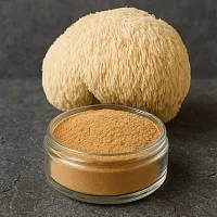 Lion's Mane extract powder 1 kg cosmetic ingredient Mylo Opt