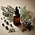 Juniper Essential Oil 5 ml, photos, reviews, use