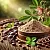 Velvet Bean Extract 100 g cosmetic ingredient Mylo Opt