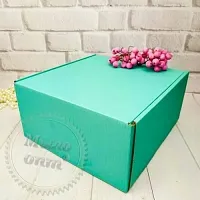 Коробка Новинка Мятная описание и применение