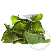 Dried kelp with thallus 10 kg cosmetic ingredient Mylo Opt