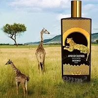 Отдушка African Leather Memo, 5 мл