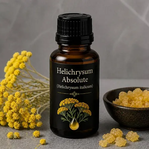 Immortelle Absolute 100 g cosmetic ingredient Mylo Opt