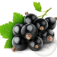Black Currant Fruit Extract Concentrate 1 L