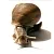 Snail-active, 5 мл артикул T60078