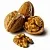 Walnut Extract Powder 1 kg cosmetic ingredient Mylo Opt