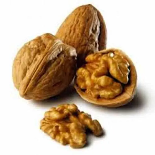 Walnut Extract Powder 1 kg Mylo Opt global supplier Walnut Extract Powder 1 kg cosmetic ingredient Mylo Opt