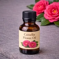 Camellia Oil 1 L cosmetic ingredient Mylo Opt
