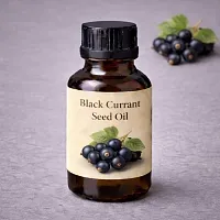 Black Currant Seed Oil 1 L cosmetic ingredient Mylo Opt