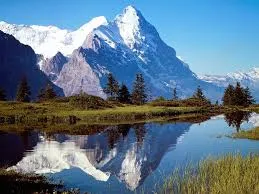 Alpine freshness detergent Fragrance Oil 1 L Mylo Opt global supplier Alpine freshness detergent Fragrance Oil 1 L cosmetic ingredient Mylo Opt