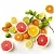 Complex CO2 Extract Citrus 5 g cosmetic ingredient Mylo Opt