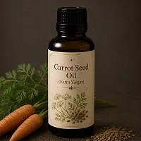 Carrot Seed Oil Extra Virgin 50 ml cosmetic ingredient Mylo Opt