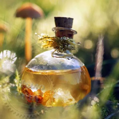 Fragrance Oil Forest balsam 1 L Mylo Opt global supplier Fragrance Oil Forest balsam 1 L cosmetic ingredient Mylo Opt