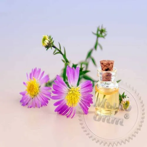 Ацетофенон, 1 л сырье для косметики Ацетофенон, 1 л артикул TM21101805