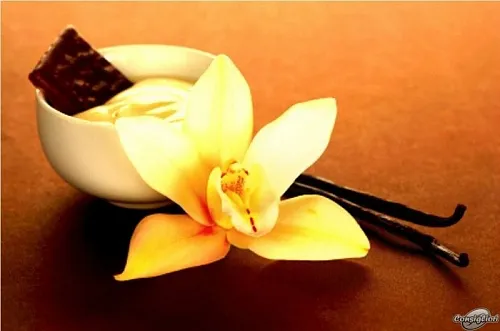 Coffee Vanilla Fragrance Oil, 1 L, 1 050.50 UAH, rating ⭐⭐⭐⭐⭐ Milo Opt