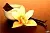 Coffee Vanilla Fragrance Oil, 1 L, photos, reviews, use