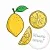 Lemon Flavor Powder 1 kg cosmetic ingredient Mylo Opt