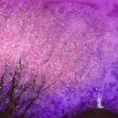 Отдушка для кондиционера для белья Spring Breeze, 1 литр