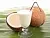 Food flavoring Creamy Coconut, 1 L cosmetic ingredient Mylo Opt